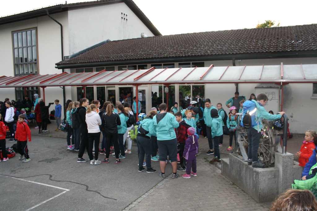Bild 1 (13)